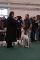 /album/fotogaleria/a30-jpg/
