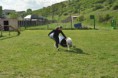 /album/fotogaleria/a56-jpg/