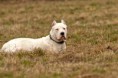 /album/fotogaleria/a68-jpg/