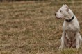 /album/fotogaleria/a69-jpg/