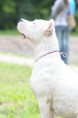 /album/fotogaleria/a79-jpg/