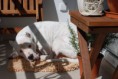 /album/fotogaleria/a86-jpg/
